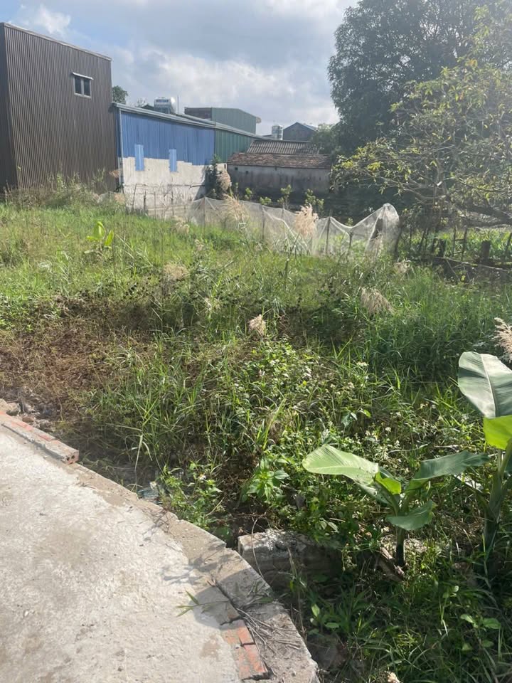 Đất nền Xã Mỹ Lộc, TP. Nam Định 80m² giá 790 triệu - Đường ô tô vào tận đất!