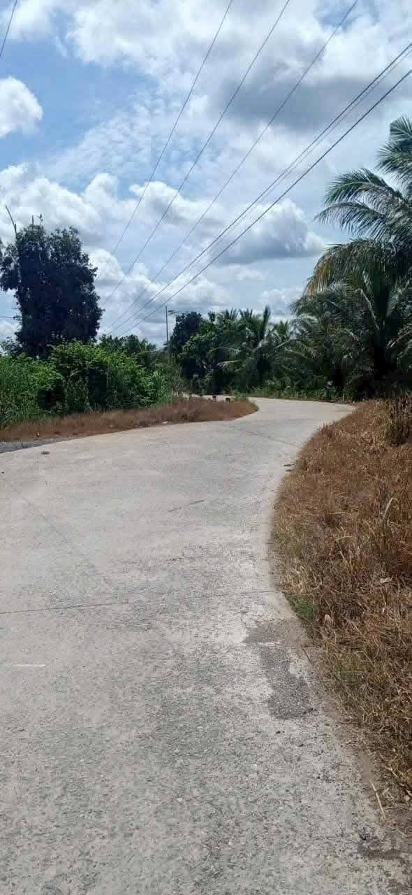 Bán đất nền KDC Ấp 1 Lương Bình, 90m² giá 780 triệu - Cơ hội đầu tư lý tưởng!