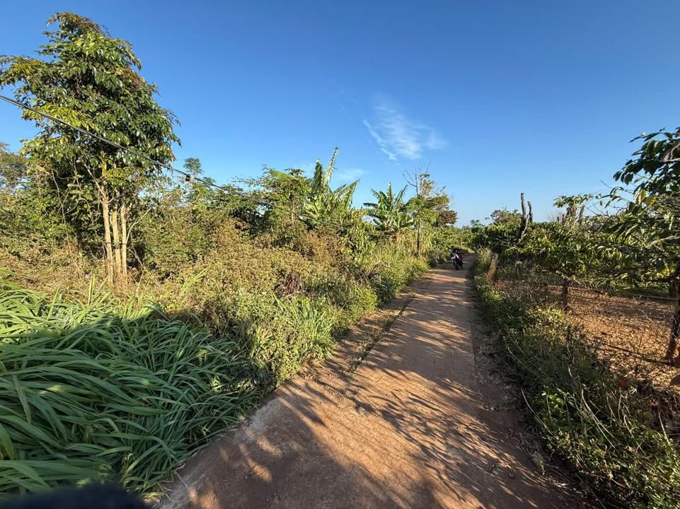 Đất nền thổ cư 510m² tại Thị trấn Ea Drăng, Đắk Lắk chỉ 275 triệu - Ôm mặt đường bê tông!