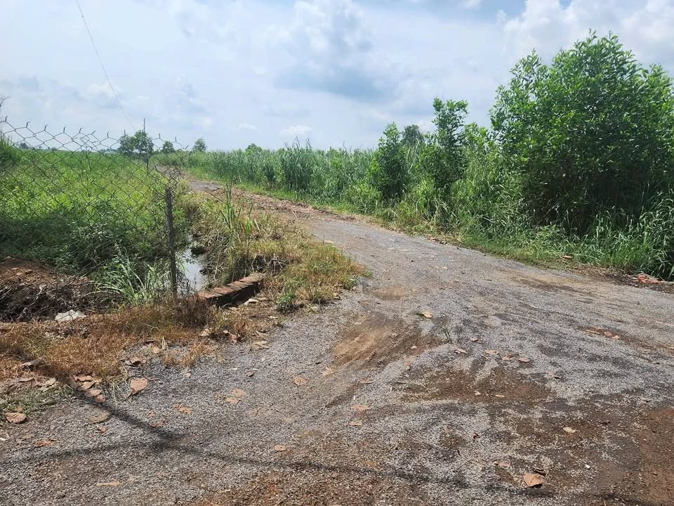 Đất nền 1670m² tại ấp Hoà Bình, xã Hưng Thịnh chỉ 900 triệu - Đầu tư sinh lời ngay!