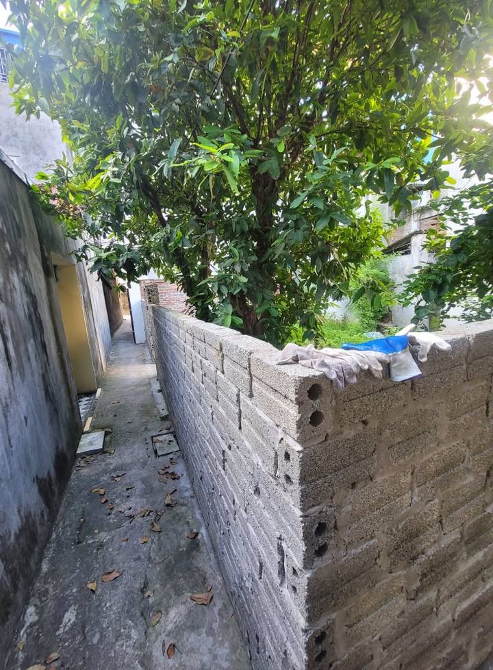 Lô Đất Ngõ Trần Quang Khải, Nam Định 83m² giá 1 tỷ 250 triệu - Cơ hội đầu tư hấp dẫn!