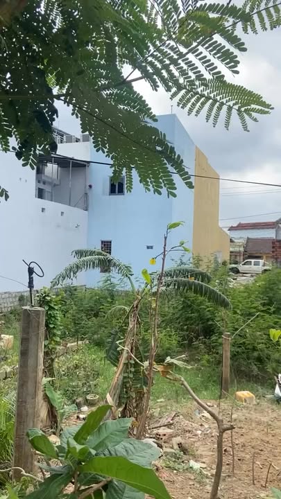 Đất nền Tăng Bạt Hổ, Tuy Phước 100m² giá 1.65 tỷ - Đầu tư sinh lời ngay!