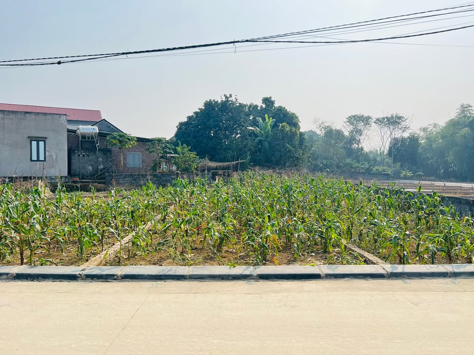 Bán đất KCN Nhuận Trạch 128m² giá 1 tỷ - Đầu tư sinh lời cao!