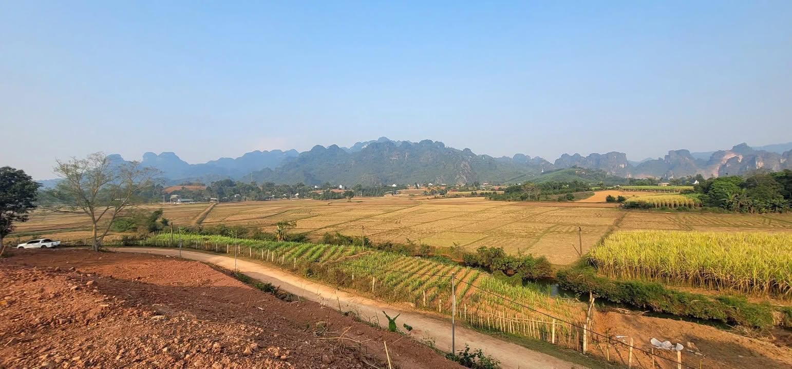 Đất nghỉ dưỡng 3351m² tại Mỹ Hòa, Tân Lạc, Hòa Bình - Tiềm năng phát triển lớn!