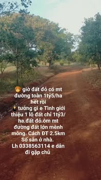 Đất nền Huyện Đồng Phú 3ha giá 39 tỷ - Cơ hội đầu tư hấp dẫn!