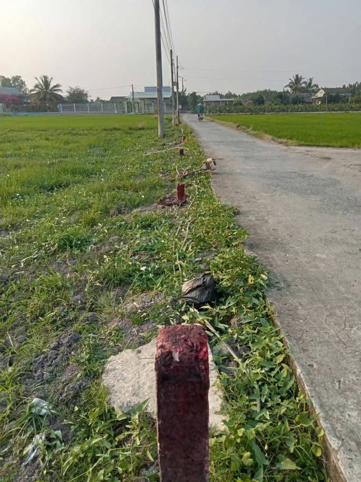 Đất nền 1300m² tại ấp Văn hóa BÀO DÀI, Châu Thành, Long An - Giá chỉ 1.599 tỷ, cơ hội đầu tư tốt!