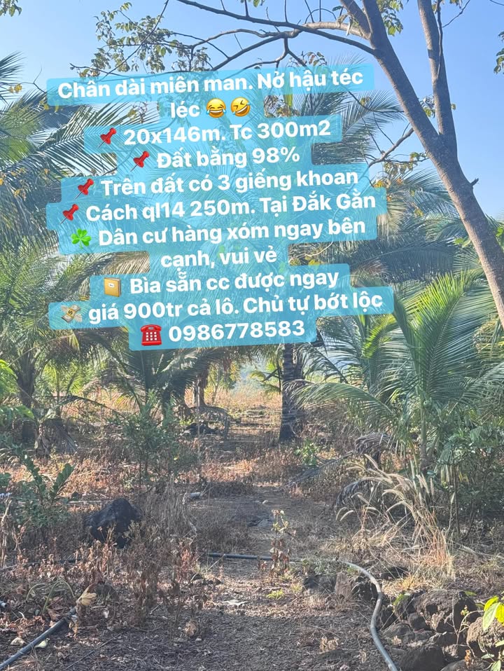 Đất nền tại Đắk Gằn, Đắk Mil 29200m² giá 900 triệu - Sổ hồng chính chủ, bớt lộc cho khách!