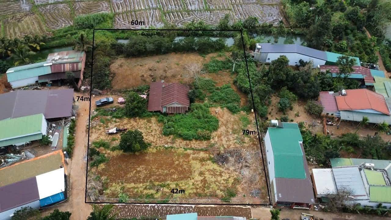 Đất thổ cư 4 sào tại Thuận An, Đắk Mil - Giá 4.65 tỷ, hai mặt đường ô tô