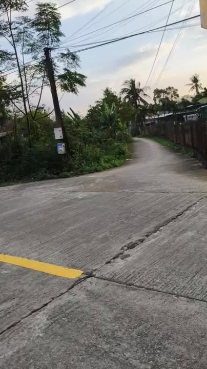 Đất thổ cư Vườn Phổ Quang 1000m² giá chỉ 6xx triệu - Đầu tư sinh lời cao!