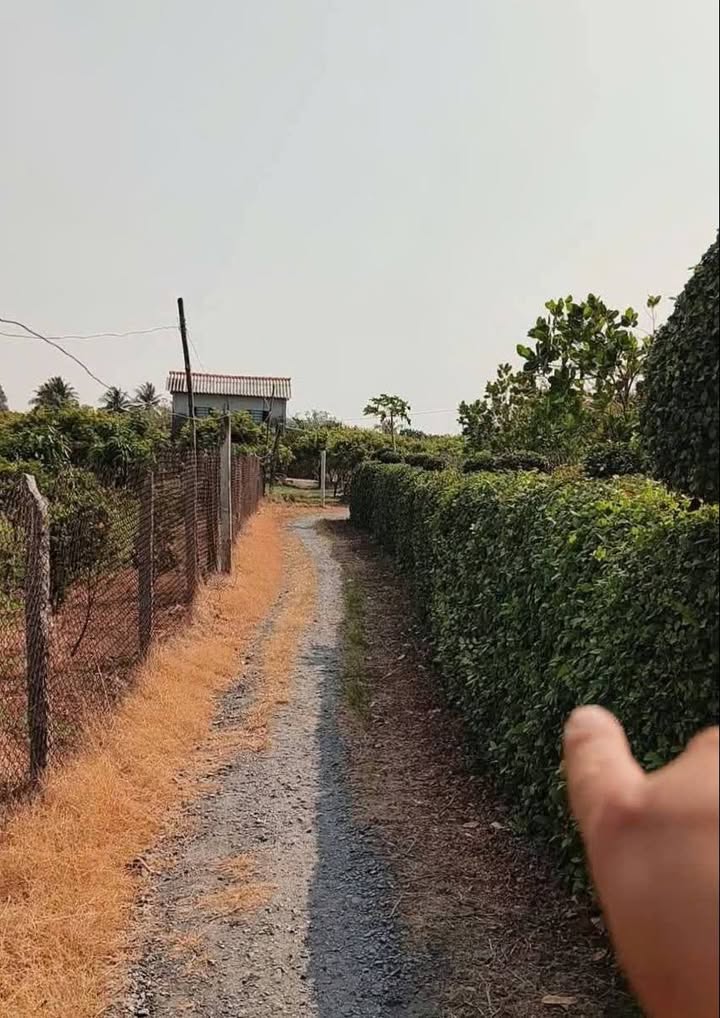 Bán đất và nhà vườn 693m² tại Tân Thành, Gò Công Đông - Giá chỉ 900 triệu!