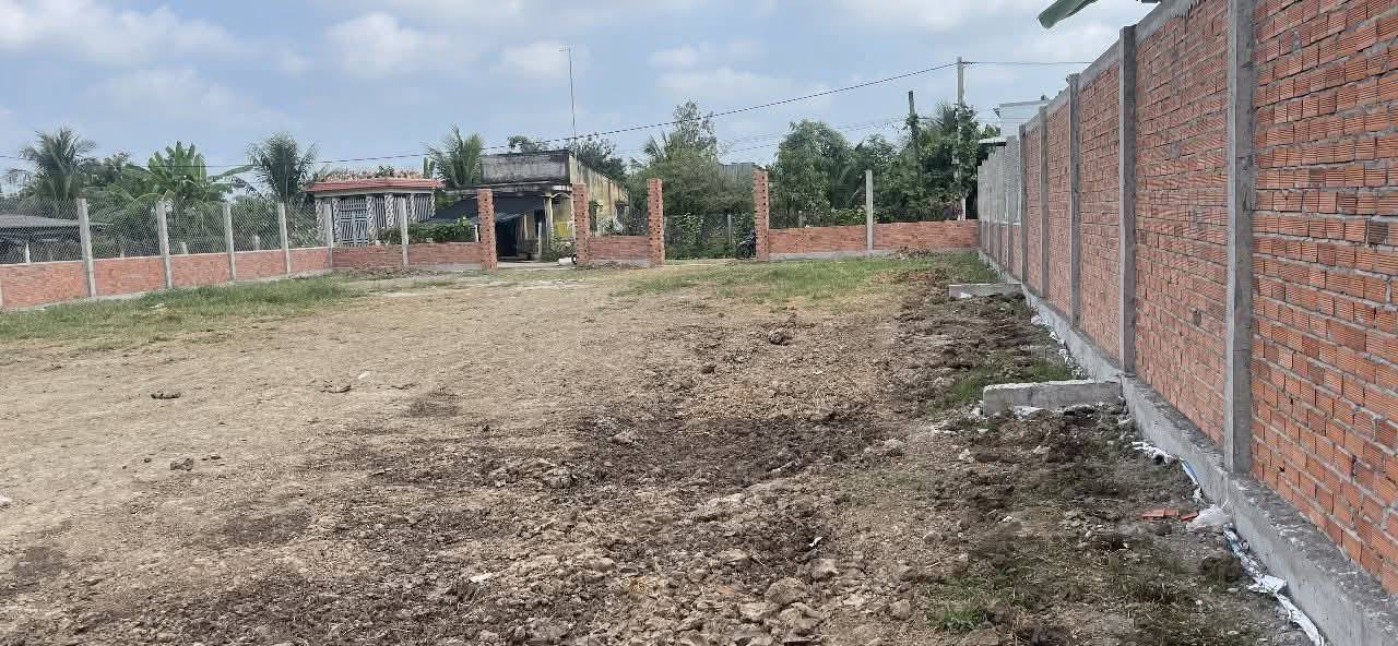 Đất thổ cư 4950m² tại Bình Nghị, Gò Công Đông - Giá 800 triệu - Nền cao ráo, xây tường gáp hết đất!