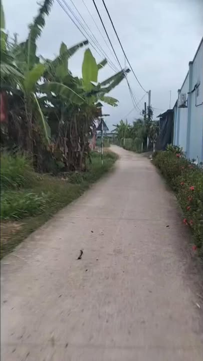 Đất nền 495m² tại Ấp Ruộng Cạn, Bình Nghị, giá chỉ 800 triệu - Đầu tư sinh lời ngay!