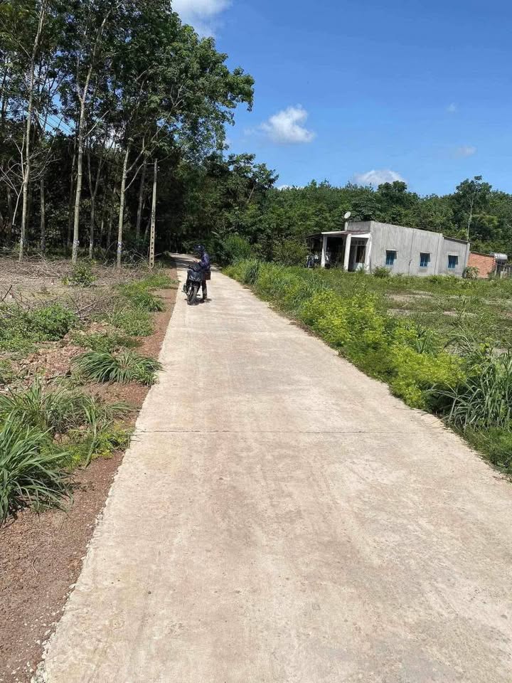 Đất thổ cư 50m² tại KCN Minh Hưng, Bình Phước - Giá chỉ 150 triệu, đầu tư sinh lời!