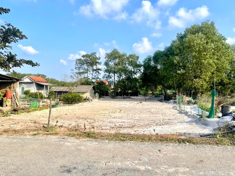 Đất nền Phong Điền 240m² giá 500 triệu - Mặt tiền tỉnh lộ 6, cơ hội đầu tư tuyệt vời!