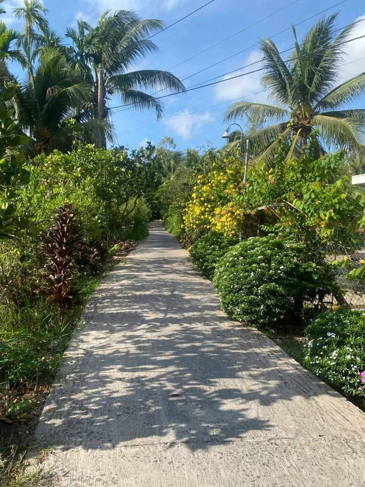 Đất vườn ấp Bình Phú, Châu Thành, Tiền Giang 3560m² giá 3.185 tỷ - Đường xe ô tô vào tận nơi!