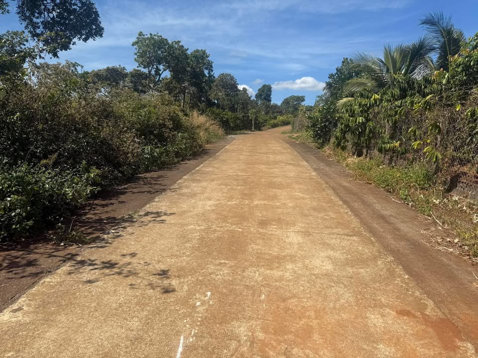 Đất thổ cư 42000m² tại Nhân Cơ - Giá chỉ 450 triệu, thương lượng ngay!