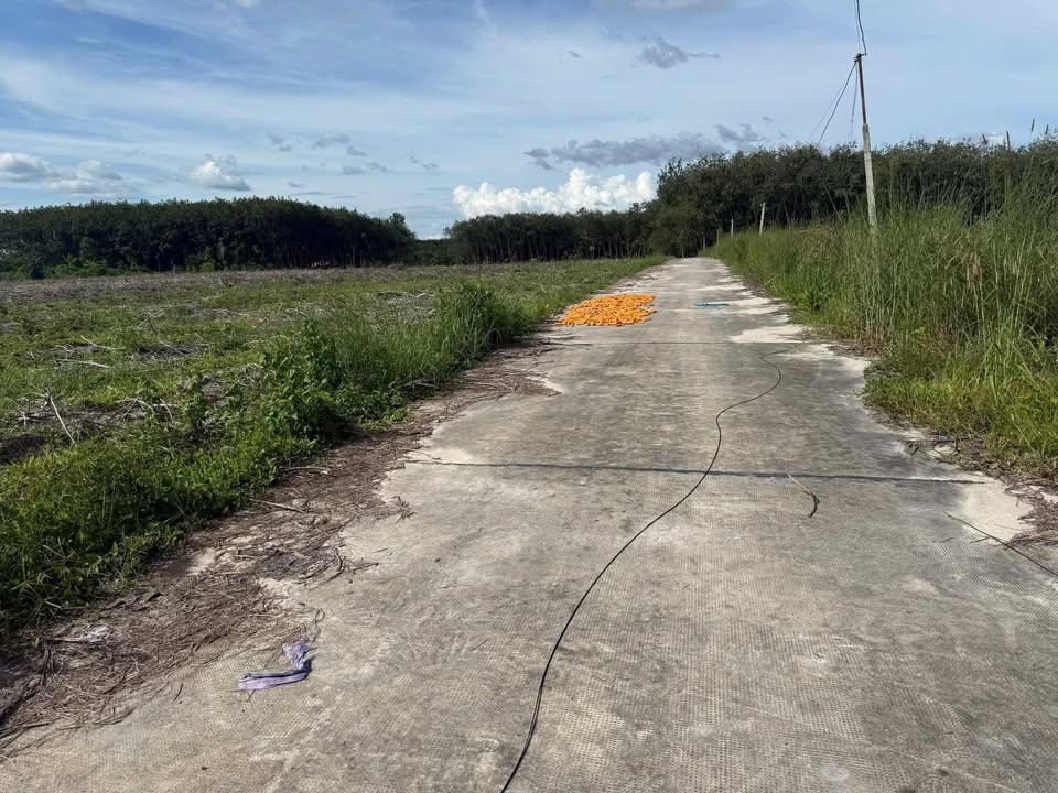 Đất nền khu phố 5 Minh Hưng, Chơn Thành 220m² giá chỉ 3xx triệu - Sổ hồng sẵn