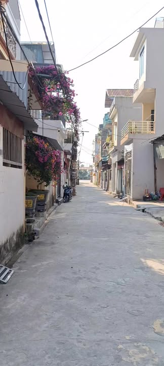 Đất nền Khu 19 - Thị trấn Lai Cách 82m² giá 2.2 tỷ - Đầu tư sinh lời ngay!