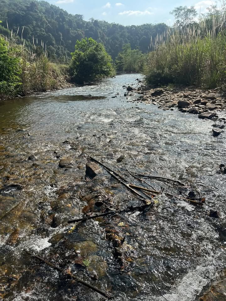 Đất Farm tại Suối Đá, Bà Gia, Đạ Huoai 2500m² - Giá hợp lý, vị trí đẹp!