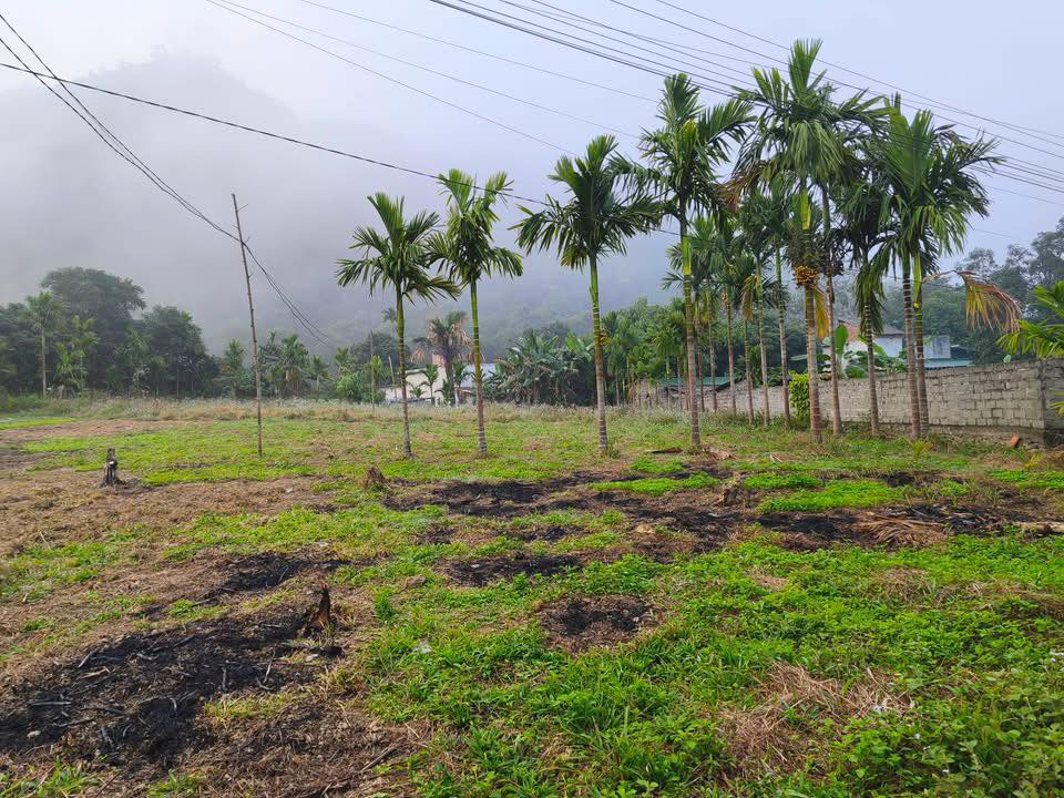 Đất thổ cư 1500m² tại Bình Sơn, Kim Bôi - Giá chỉ 1.5 tỷ, cơ hội đầu tư tuyệt vời!