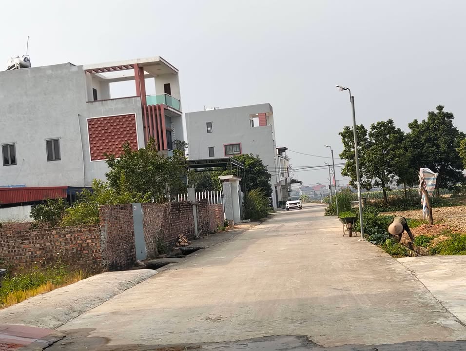 Đất thổ cư Thôn Bắc Thượng, Sóc Sơn 51m² giá 1xx tỷ - Vị trí đắc địa gần sân bay Nội Bài!