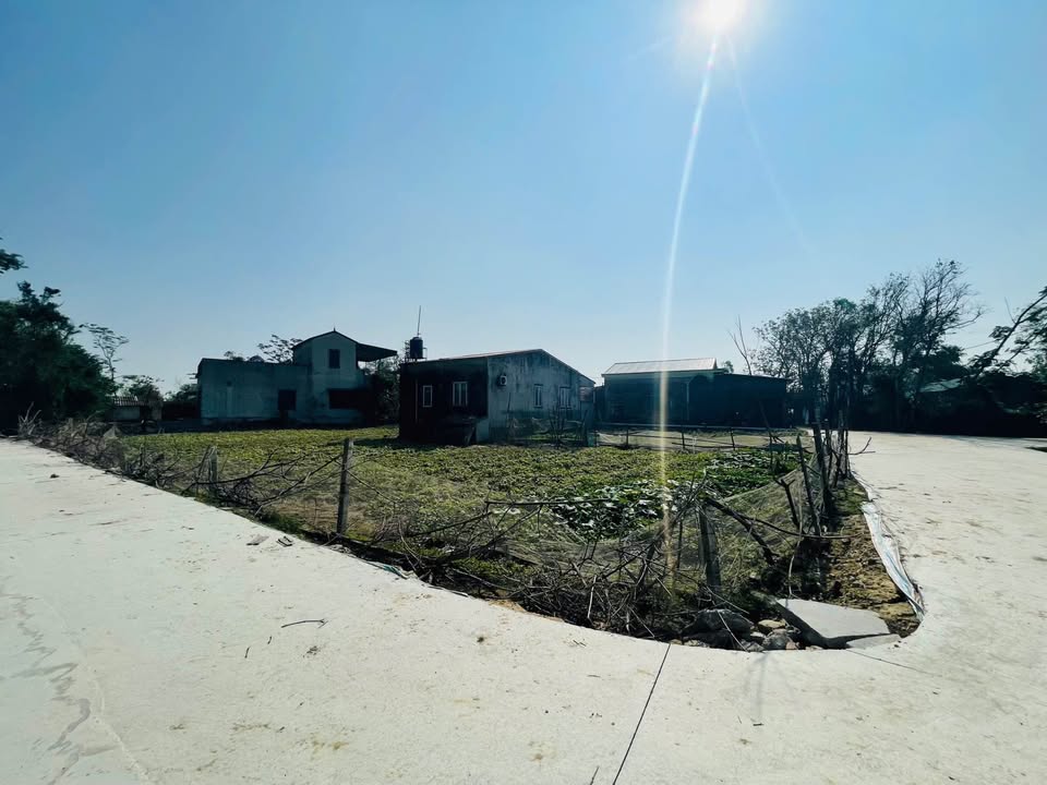 Đất nền dự án Hưng Chính, TP Vinh 81.4m² - 1.55 tỷ - Cơ hội đầu tư hấp dẫn!