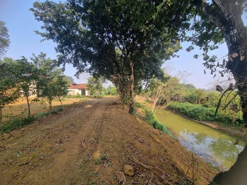 Biệt thự nhà vườn 3.700m² tại Tỉnh lộ 446 - Không gian sống xanh tuyệt đẹp!