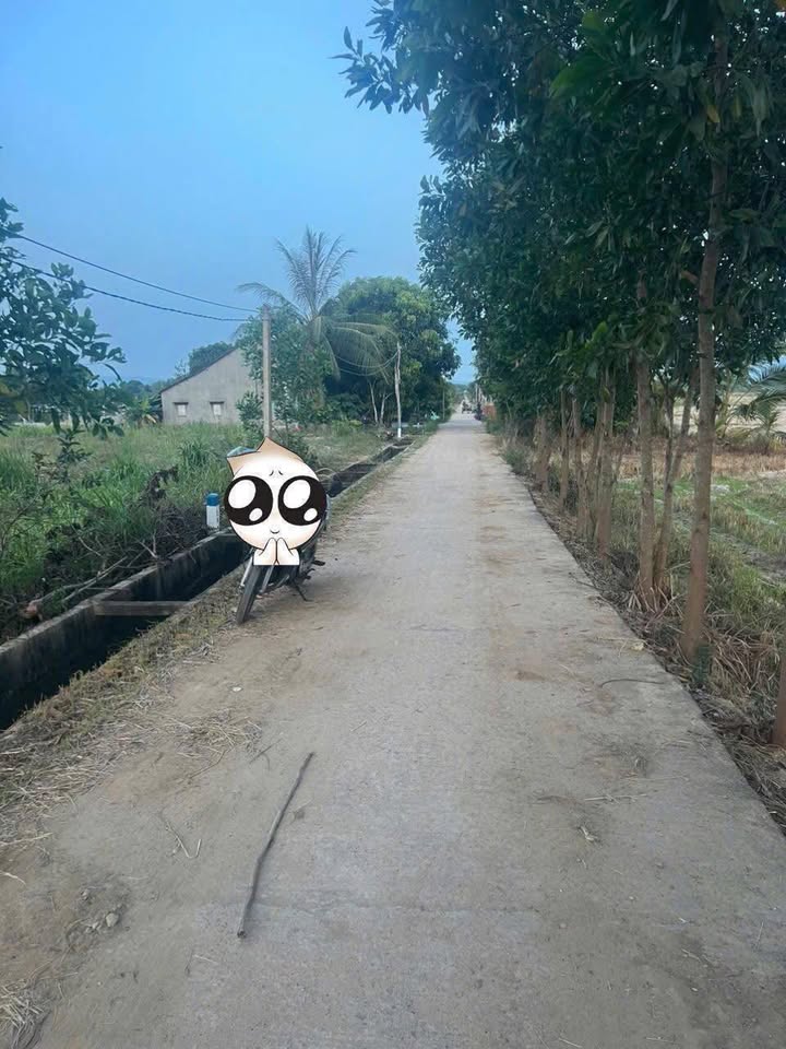 Đất thổ cư 560m² tại Sơn Giang, Sông Hinh - Đầu tư siêu lợi nhuận!