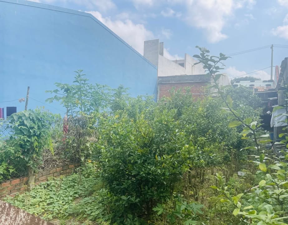 Đất mặt tiền Bến Trễ 3 Hội An 100m² giá 2 tỷ - Đầu tư sinh lời nhanh!