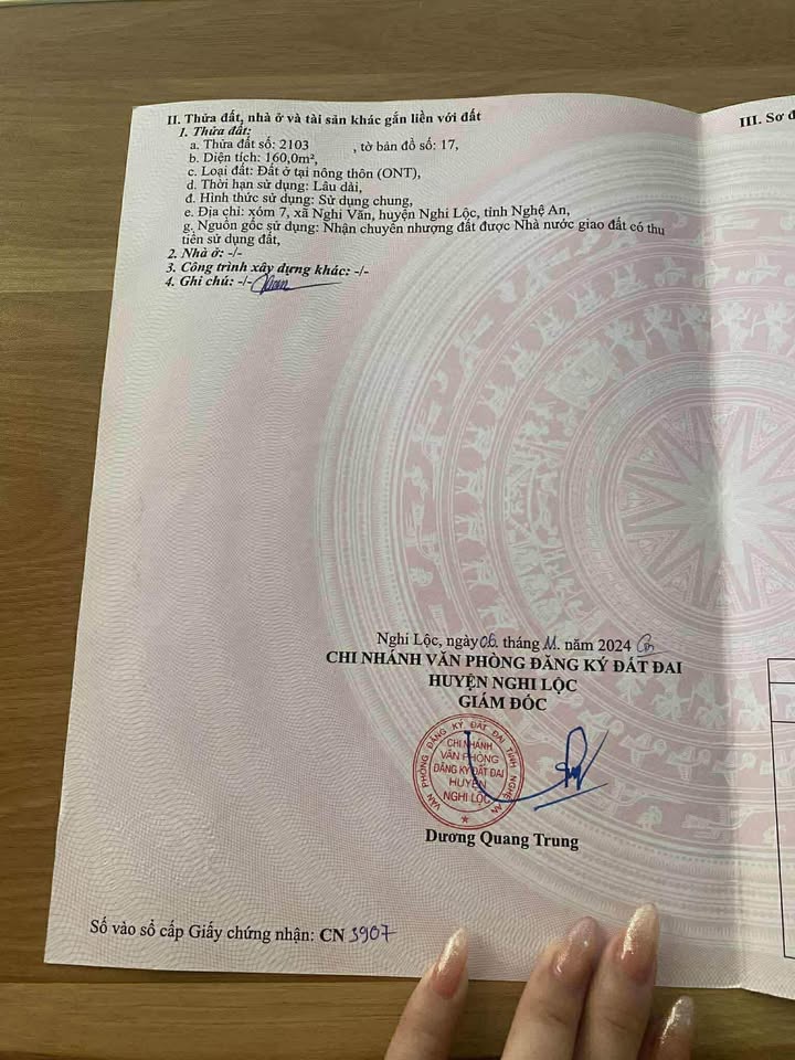 Đất đấu giá tại xóm 7, huyện Nghi Lộc, Nghệ An 160m² - Vị trí trung tâm sầm uất!