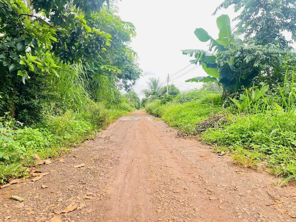 Đất đầu tư Cư Đăng 160m² giá 495 triệu - Kết nối trung tâm tiện lợi!