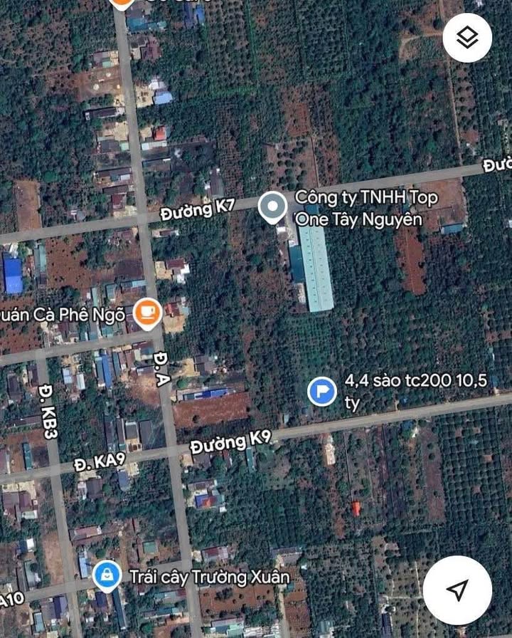 Đất nền đường Ka9 Tân An 4,4 sào giá 10,5 tỷ - Thổ cư sẵn, cây sầu riêng chuẩn bị thu hoạch!