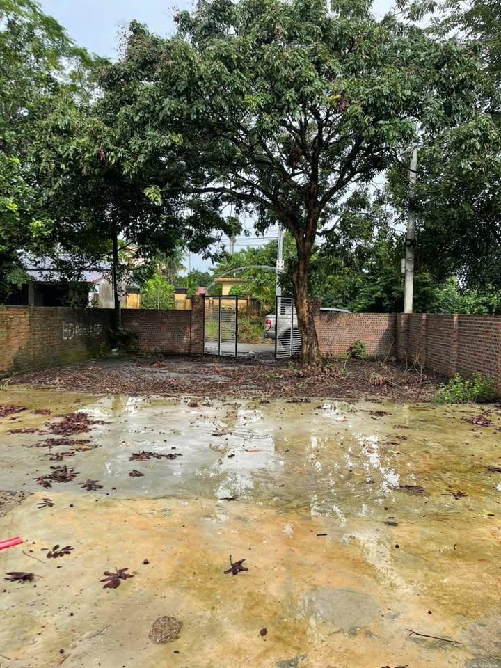 Đất Yên Bài, Ba Vì 510m² giá 5 tỷ - Lô góc cực đẹp, đầu tư sinh lời!