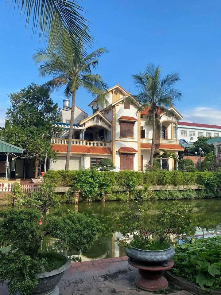 Căn Biệt Thự Sân Vườn Hạ Long 1566m² giá 1x tỷ - Không thể bỏ lỡ!