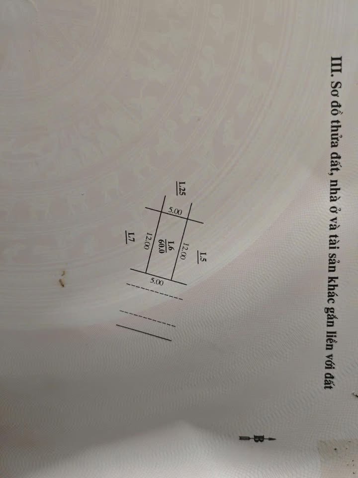 Đất đấu giá 60m² Mậu Lương, Hà Đông giá chỉ 15 tỷ - Hướng Đông mát mẻ, không lỗi phong thủy!