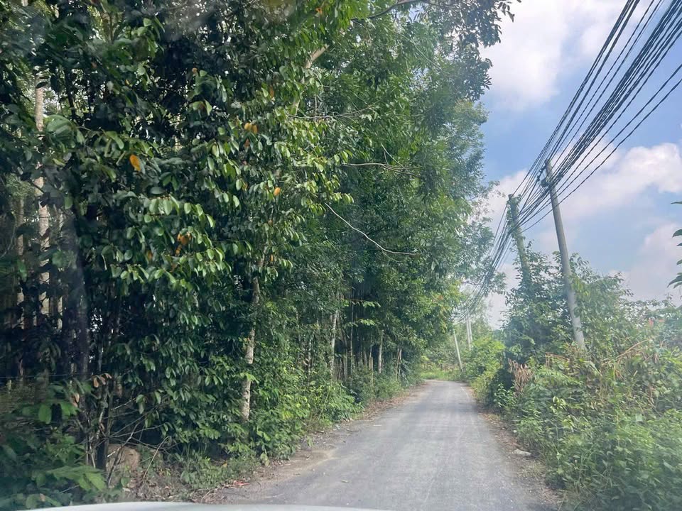 Đất nền Phú Riềng Đỏ 231m² giá 8xx triệu - Đầu tư sinh lời ngay!