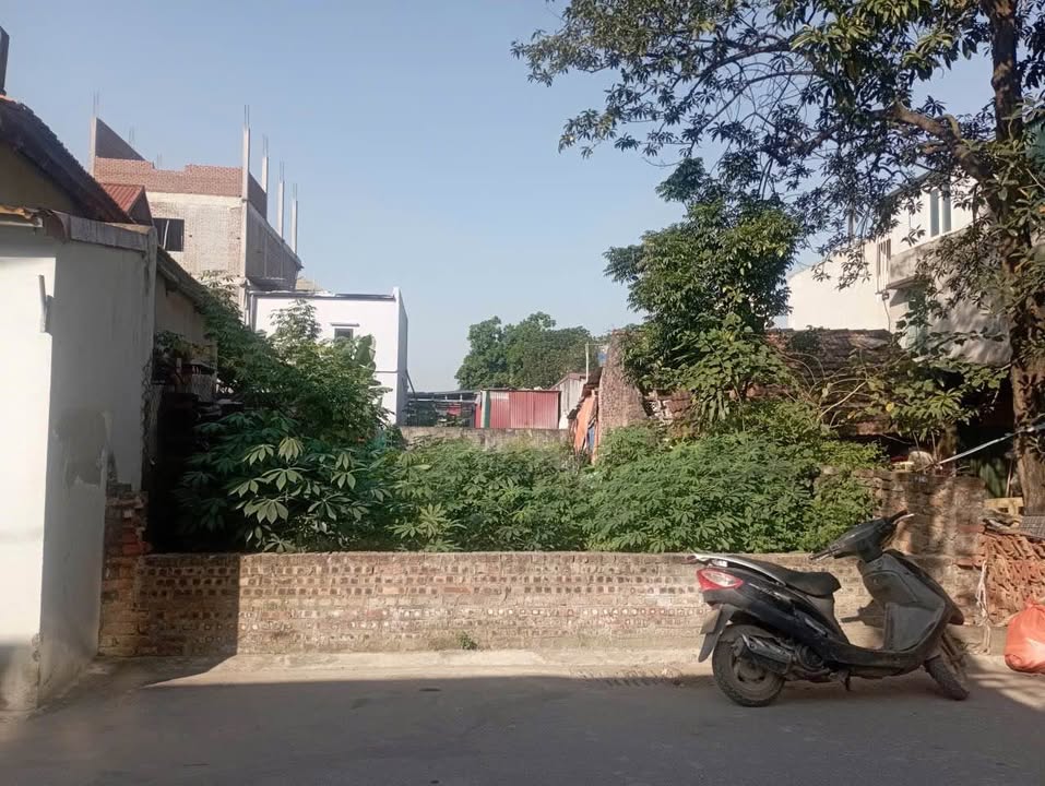 Đất kinh doanh 154m² Trục Chính Du Nội, Mai Lâm - Giá chỉ 1.232 tỷ