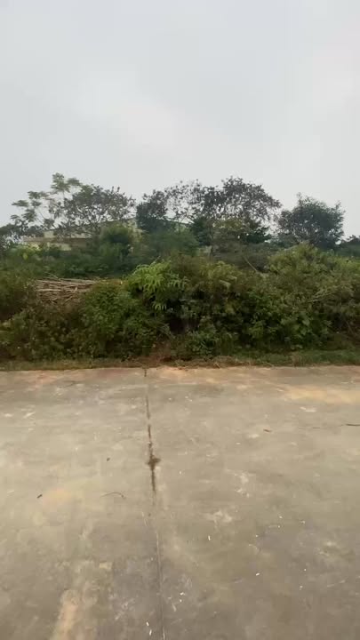 Đất nền thổ cư 100m² tại TL315, Phú Thọ chỉ 1.xx tỷ - Đầu tư sinh lời ngay!