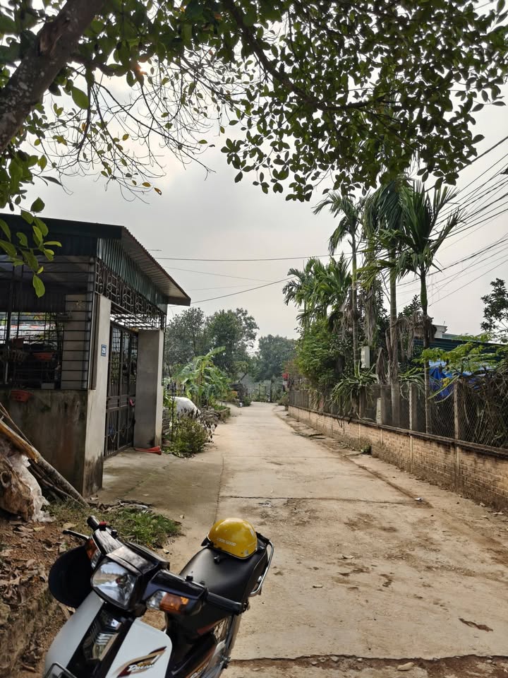 Lô đất 155m² tại Phường Mỹ Lâm - Giá 1.6 tỷ, Thương lượng ngay!