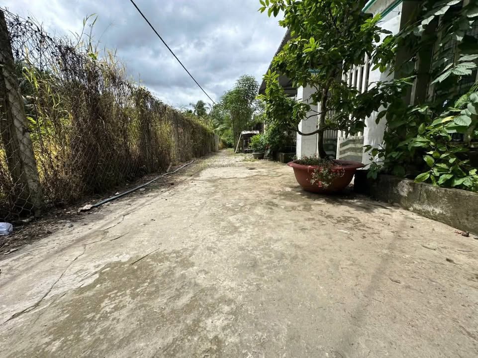 Nhà vườn tại ấp Thới, Đông Hòa, Châu Thành, Tiền Giang 1056m² giá 1.5 tỷ - Đầu tư sinh lời hấp dẫn!