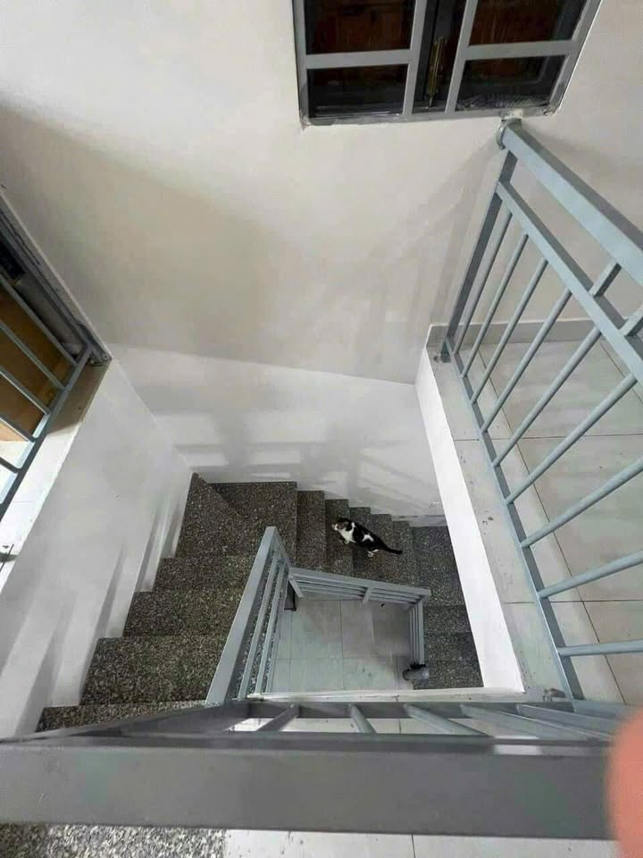 Nhà 1 trệt 1 lầu phường Long Bình, 70m², giá 1.49 tỷ - Sổ hồng chính chủ!