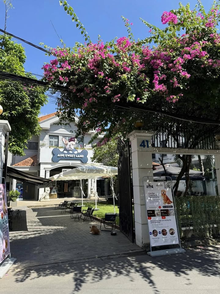 Nhà mặt tiền Phan Văn Trị Gò Vấp 1200m² giá thỏa thuận - Vị trí đắc địa cho kinh doanh!