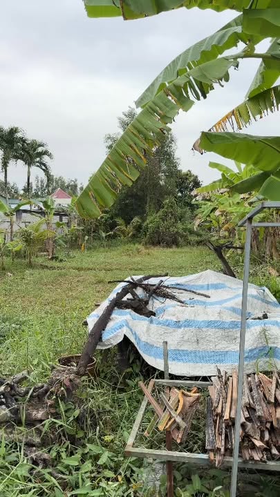 Đất nền thổ cư Long Phước, Vĩnh Long 158m² giá 550 triệu - Cơ hội đầu tư tuyệt vời!