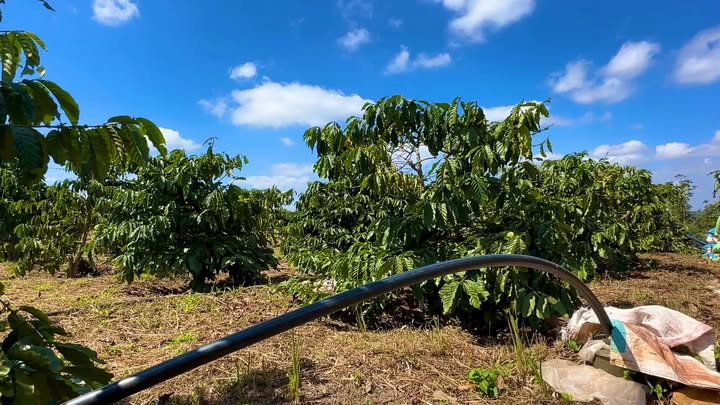 Đất nền Xã Nâm Nung 36,000m² giá thỏa thuận - Đường ô tô vào tận nơi!