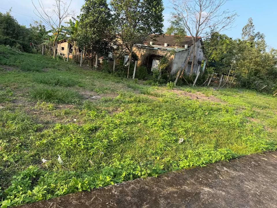 Đất chính chủ Điện Tiến 214m² giá 980 triệu - Đầu tư sinh lời ngay!