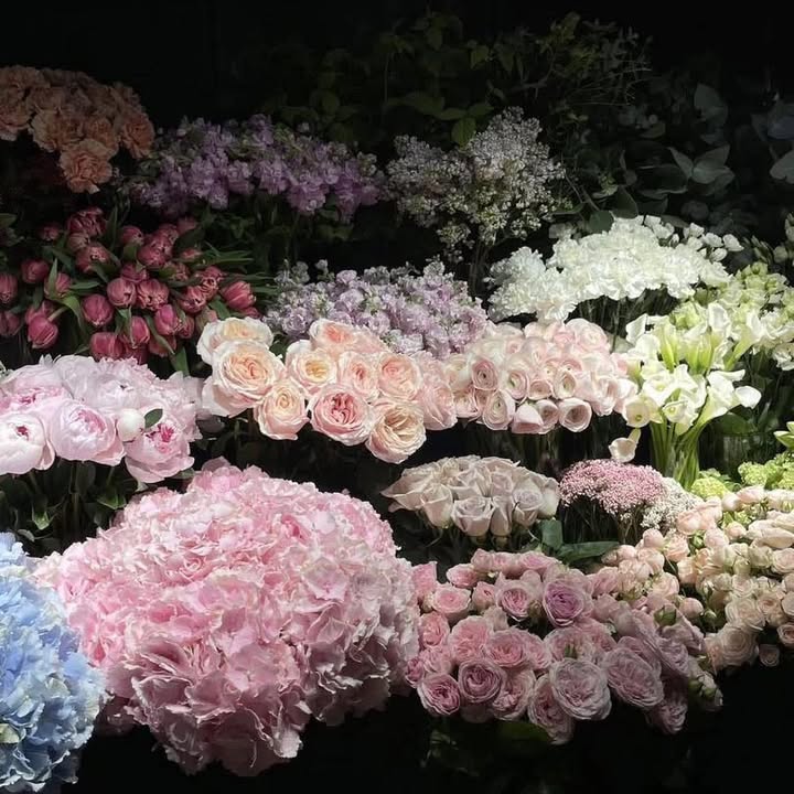 Cho thuê nhà mặt tiền Nguyễn Trọng Tuyển Quận Phú Nhuận - Diện tích 131m², giá 150 triệu/tháng