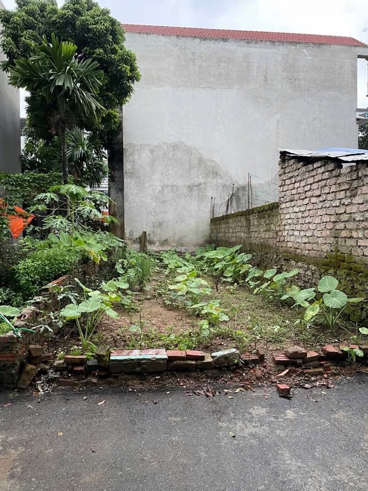 Đất An Thắng 60m² giá 5 tỷ - Ngõ ô tô tránh, cơ hội đầu tư sinh lời!