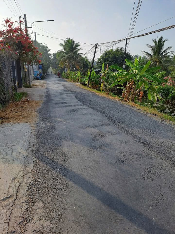 Đất nền mặt tiền nhựa 5m, Phước Thạnh, 200m² - Giá chỉ 1.1 tỷ!