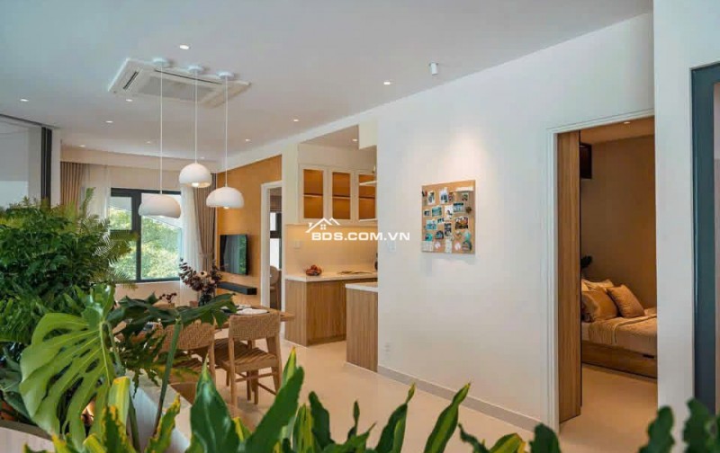 Căn hộ 1PN Tân Bình, Dĩ An 43m² giá 1.68 tỷ - Thanh toán chỉ 336 triệu!