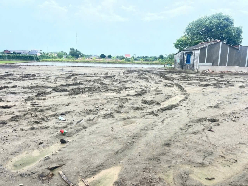 Bán 11 lô đất thổ cư xã Rạch Kiến 115m² giá 700 triệu - Đường xe hơi vào tận nơi!